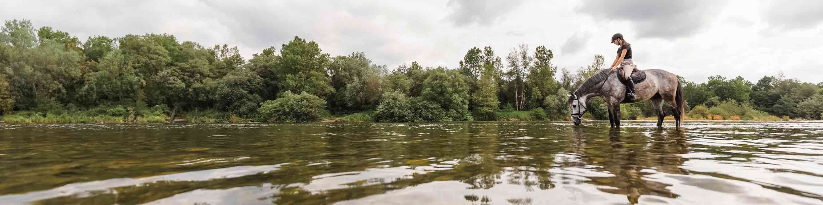 Kundin der Lippischen steht mit ihrem versicherten Pferd im See.