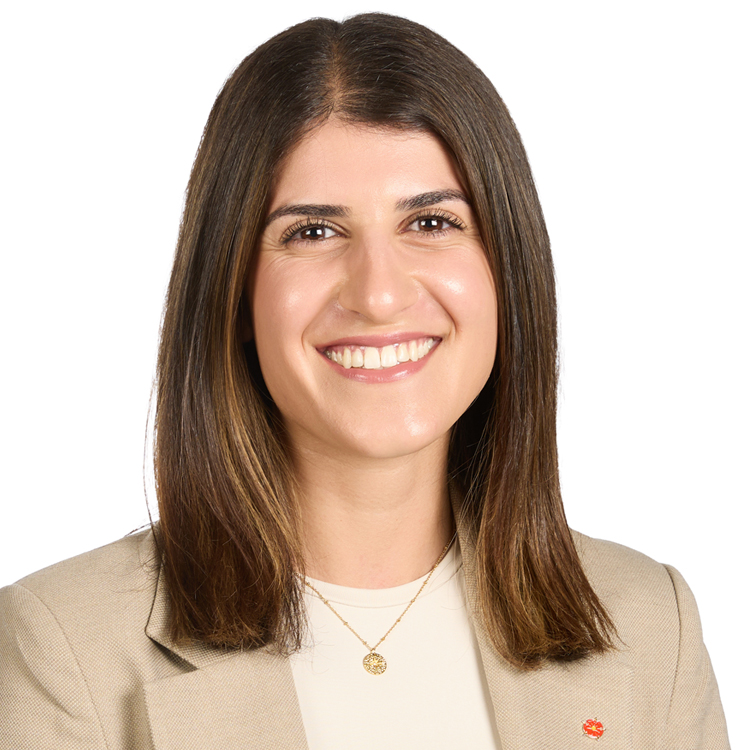 Dilber Elmas