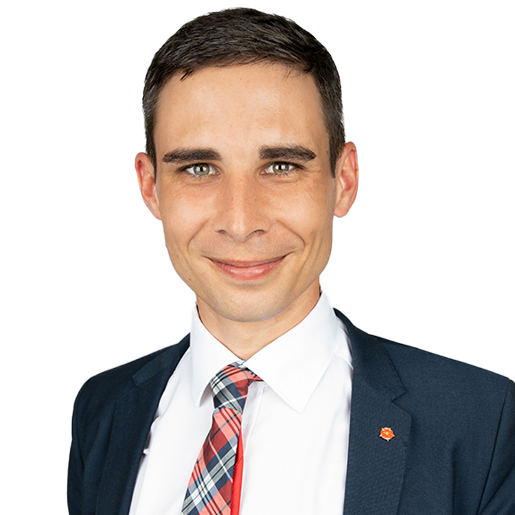 Nicolas zum Felde
