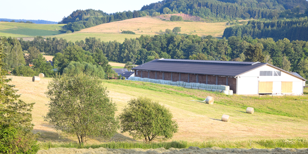 Langes Stallgebäude vor Feld