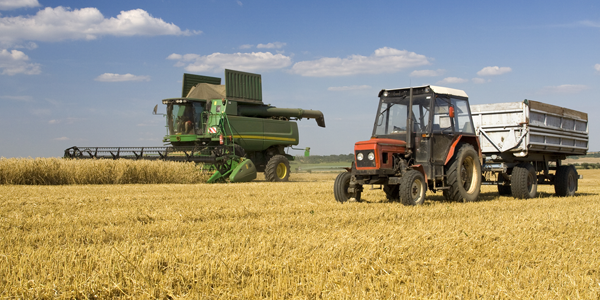 Mähdrescher und Traktor bei der Ernte