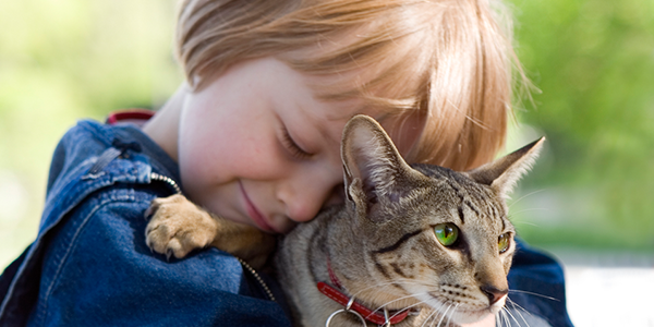 Kind kuschelt mit Katze