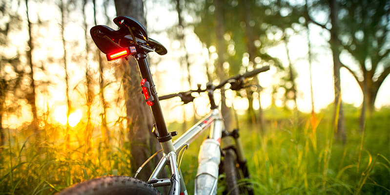 Ein Mountainbike im Wald