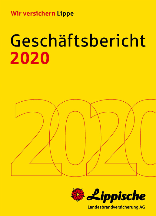 Titelbild Geschäftsbericht 2020