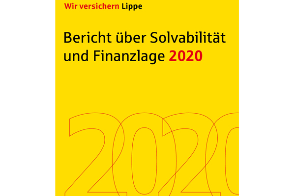 Titelbild-SFCR-Bericht-2020